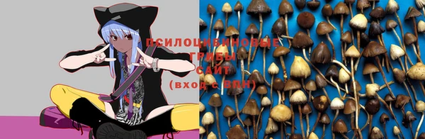 не бодяженный Армянск