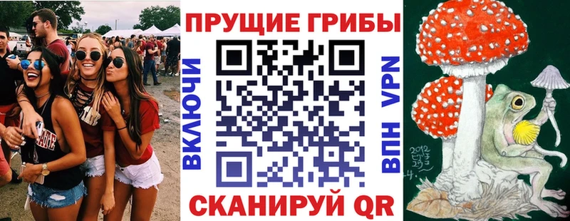 mega рабочий сайт  дарнет шоп  маркетплейс Telegram  Псилоцибиновые грибы Cubensis  Советск 